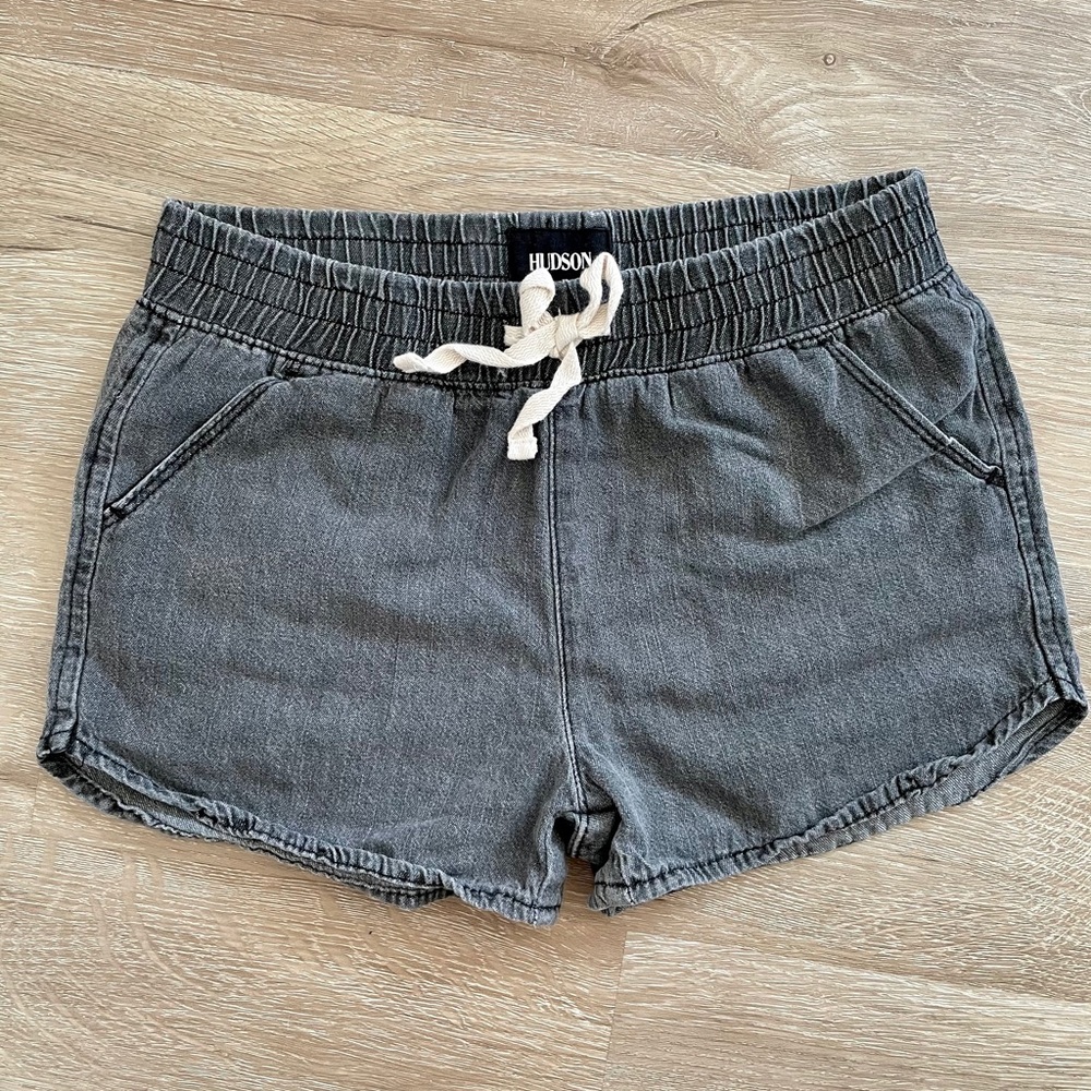 Hudson Charcoal Shorts